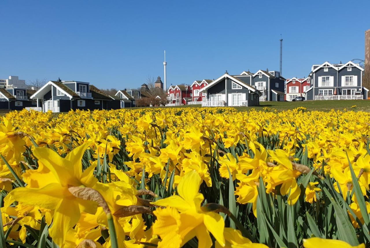 Iris Strandhus Sierksdorf Ngoại thất bức ảnh